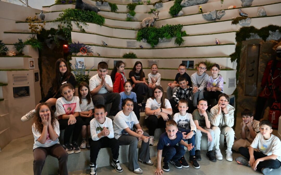 Zelena akcija u Dugopolju